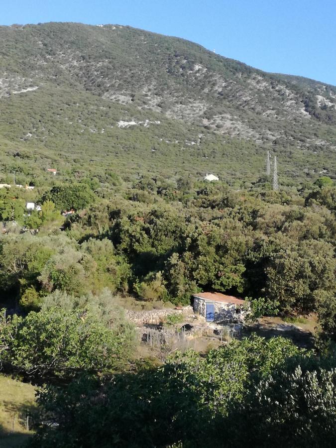 Apartman Mi Nerezine Dış mekan fotoğraf