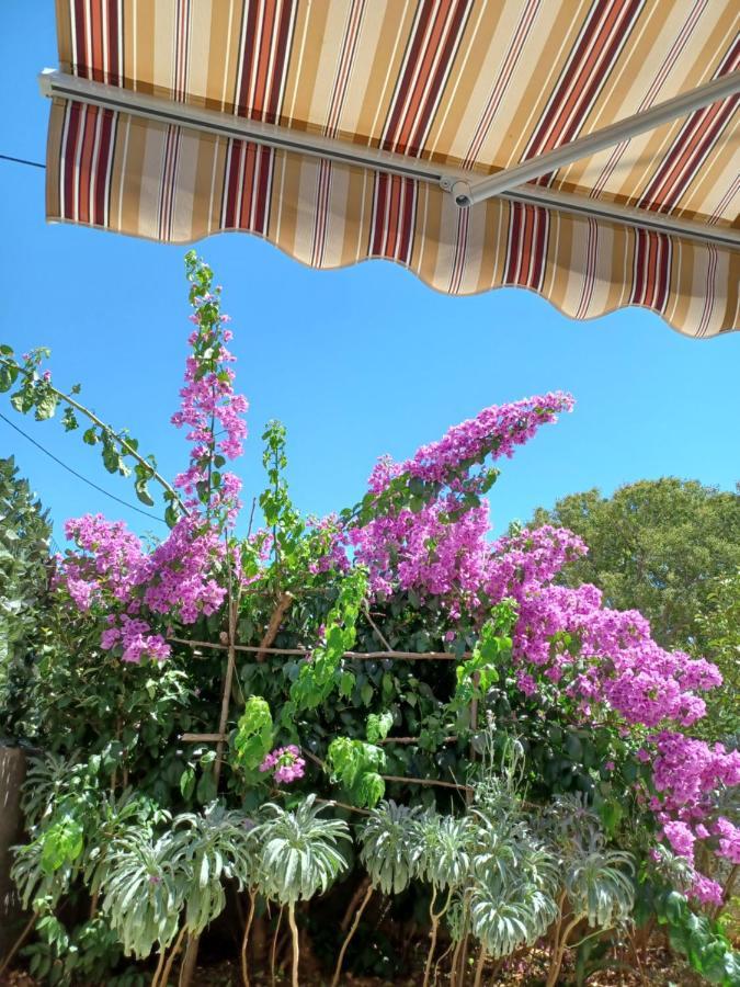 Apartman Mi Nerezine Dış mekan fotoğraf